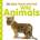 Baby Touch and Feel Wild Animals