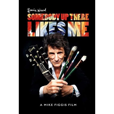 Ronnie Wood : Somebody Up There Likes Me DVD