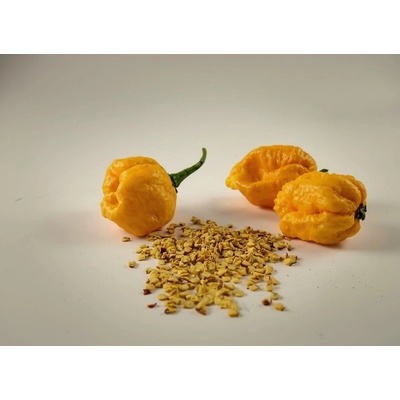 Trinidad Scorpion yellow semínka 10 ks