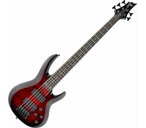 ESP LTD B-205DX