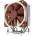 Noctua NH-U12DX i4 120x120x25mm