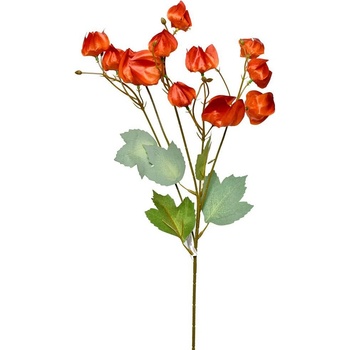KONÁR PHYSALIS 58CM