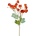 KONÁR PHYSALIS 58CM