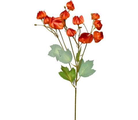 KONÁR PHYSALIS 58CM