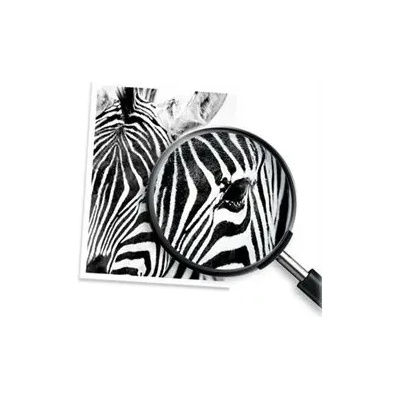 HP HP 31 Yellow Original Ink Bottle (1VU28AE)