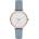 Skagen SKW2497 (SKW2497)