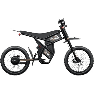 Riding Times GT73 PRO | 3000W | Електрически мотор/велосипед