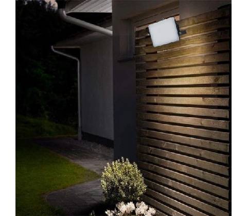 Nedes LF7022