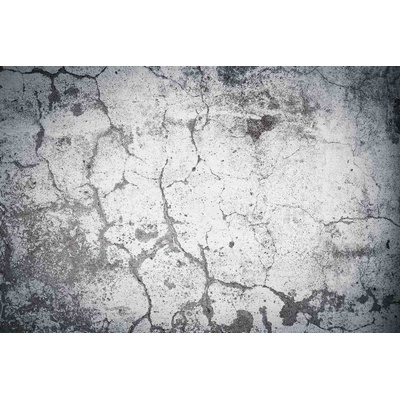 DIMEX ART Флизелинов фототапет изветрял фон 375 x 250 см