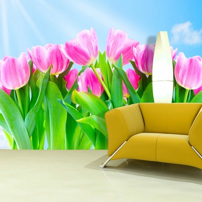 Tapeta SABLIO Růžové tulipány, rozměry 336x220 cm