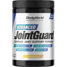 BodyWorld Advanced Joint Guard 380 g