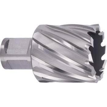 ABSE N-HS-W19-0340025