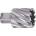 ABSE N-HS-W19-0340025