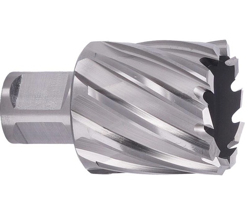 ABSE N-HS-W19-0340025