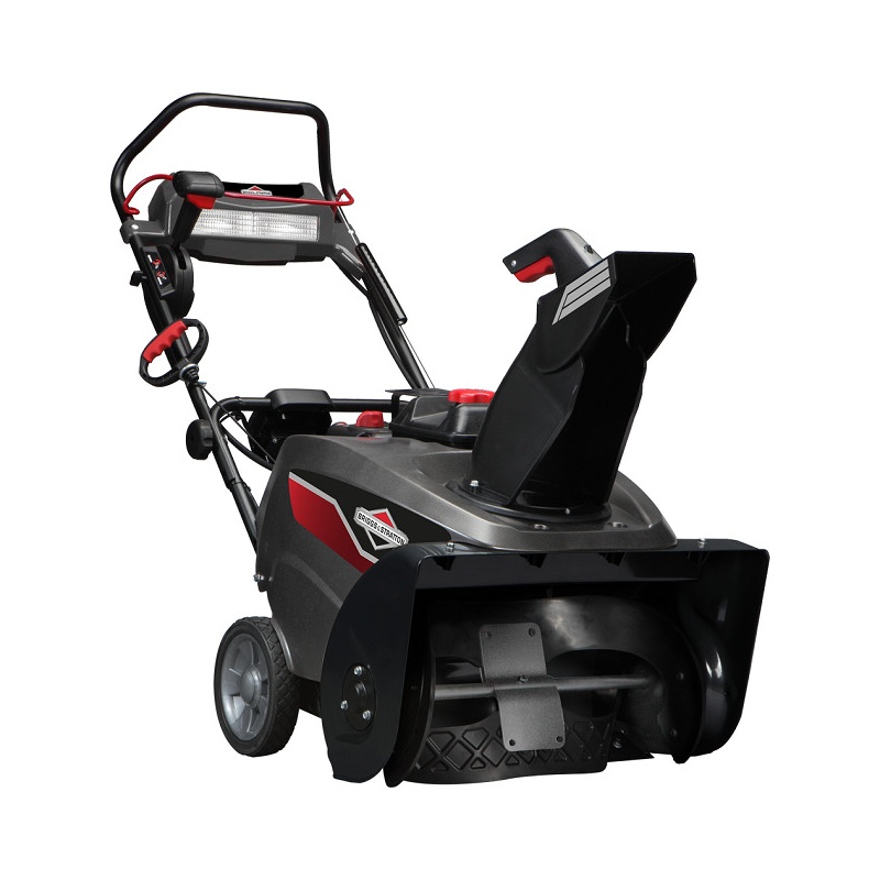 Briggs & Stratton BS822E