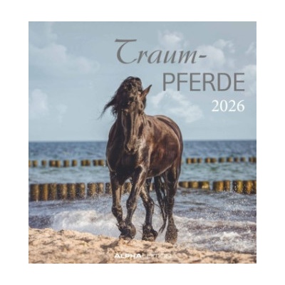 Neumann Verlage GmbH & Co Traumpferde 2026 - Postkartenkalender 16x17 cm - Horses - zum Aufstellen oder Aufhängen - Monatskalendarium - Gadget - Mitbringsel - Alpha Edition | Alpha Edition GmbH & Co. KG