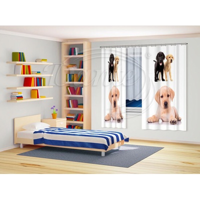 Závěs PSI - 180cm x 140cm