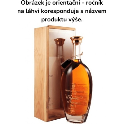 Albert de Montaubert Cognac 1991 45% 0,7 l (kazeta)