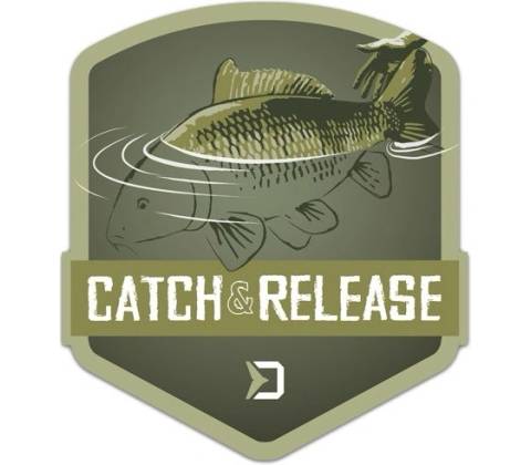 Delphin CATCH and RELEASE