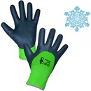CXS ROXY DOUBLE WINTER