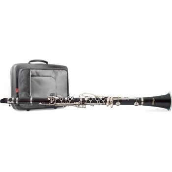 Stagg WS CL210S