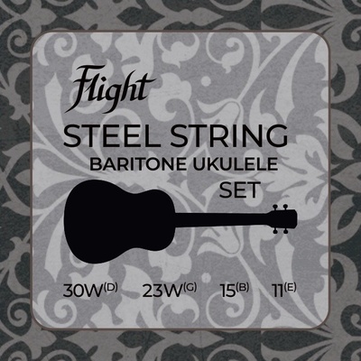 Flight FBSS-200