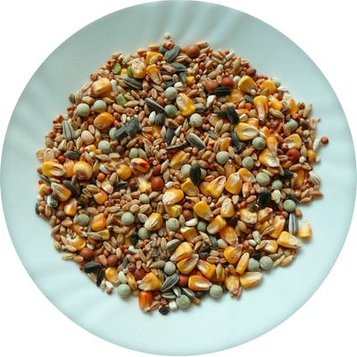 Avicentra Standard Holub 25 kg