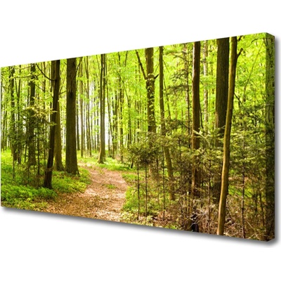Obraz na plátně Les Příroda 100x50 cm