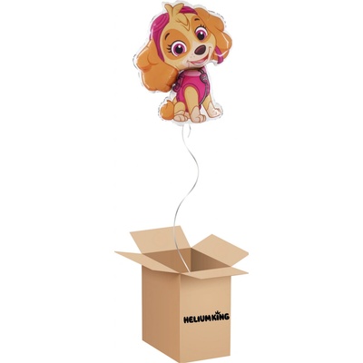 HeliumKing Balónový box Paw Patrol Skye