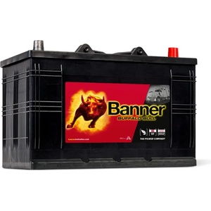 Banner Buffalo Bull 110Ah 800A right+ (610 47)