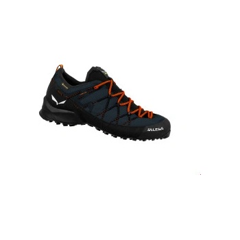 Salewa Wildfire 2 Gtx M modré