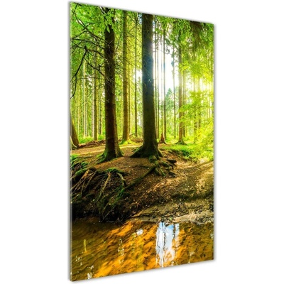 Vertikálny foto obraz sklenený Slnko v lese 50x100 cm