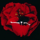 Adore - Smashing Pumpkins LP