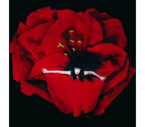 Adore - Smashing Pumpkins LP