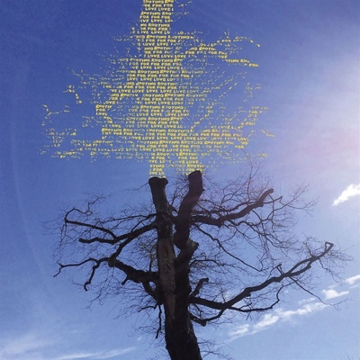 Laetitia Sadier - Rooting For Love (Limited Edition) (LP) (5063176020413)