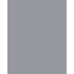 FOLIA Декоративен картон, двустранен, a4, 220 г, 100 листа, folia, каменносиво 6122/4/84 (6122/4/84)