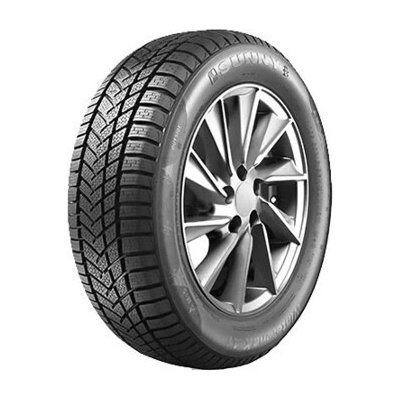 Sunny NW211 285/50 R20 116H