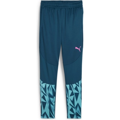 Puma individualFINAL Training pants 659021-56
