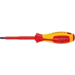 KNIPEX VDE ТХ25x80 (982625)
