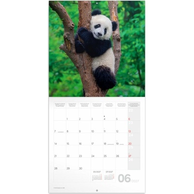 Poznámkový Pandy nástěnný 2027