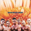 Rammstein - Herzeleid CD
