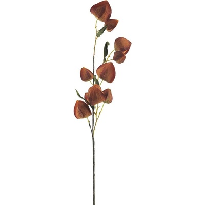 Mochyně - Physalis větev oranžová V76 cm