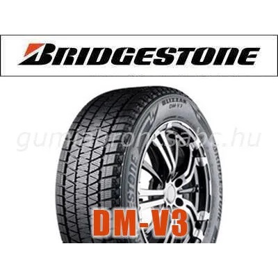 Bridgestone Blizzak DM-V3 285/45 R20 112T
