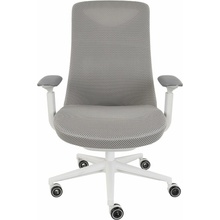 Avida Design