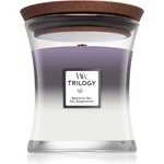 WoodWick Trilogy Amethyst Sky 275 g