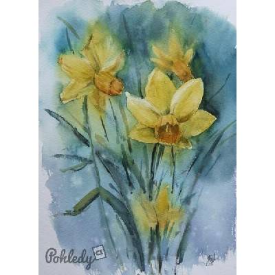 Pohlednice Žlutý narcis