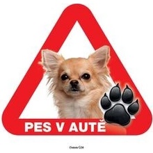 Grel nálepka na sklo pozor pes v autě čivava