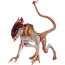 Neca Kenner Tribute Panther Alien