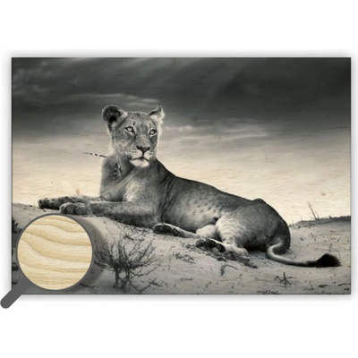 Drevený obraz Lioness