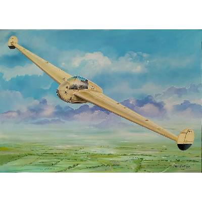 Fly Model Naleszkiewicz JN 1 1:72